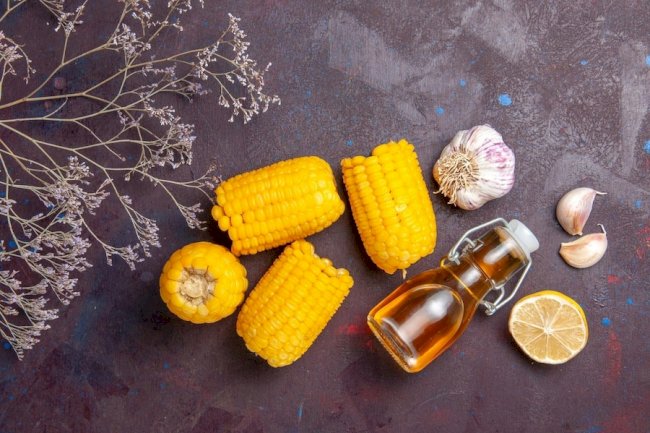 Prefeasibility Report on a Corn Oil Manufacturing Plant Setup Project by IMARC Group