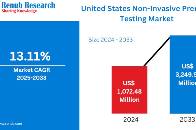 United States Non-Invasive Prenatal Testing Market Poised for Robust Growth Amid Rising Demand for Safer, Accurate Diagnostics 