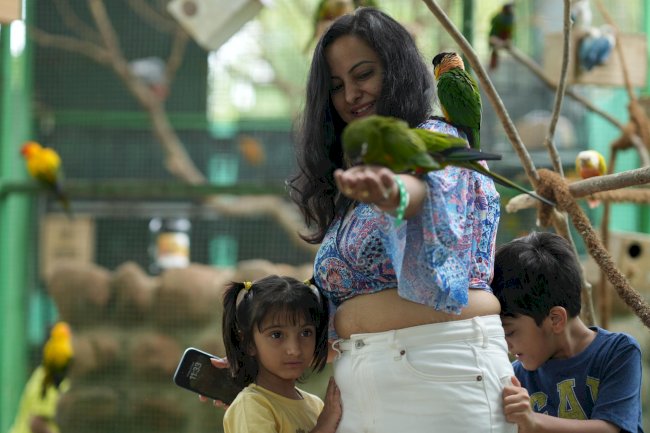 The Resort Where Every Age Finds Its Joy