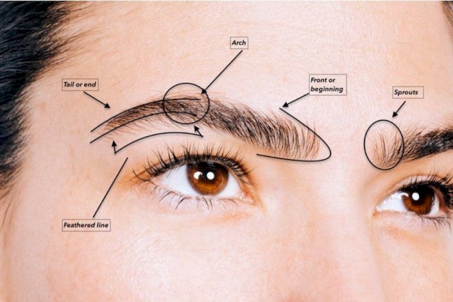 Eyebrow Transplant: The Ultimate Solution for Sparse Brows