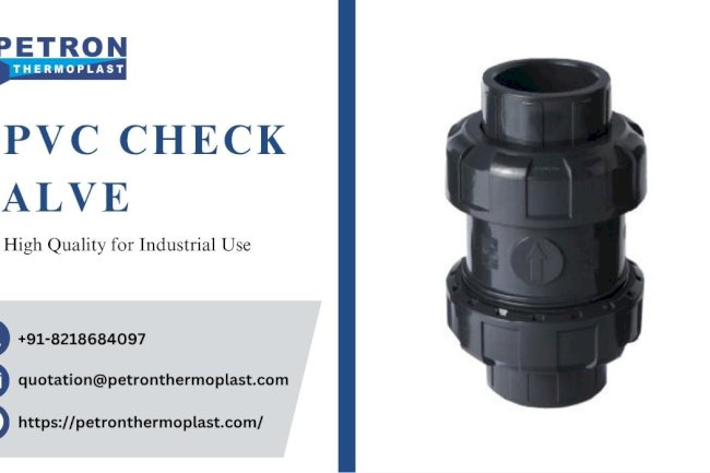 Buy High Quality UPVC Check Valve for Industrial Use