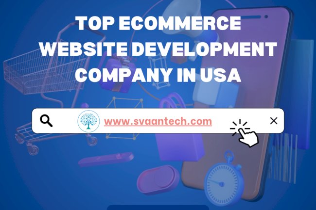 Professional eCommerce Website Development Company in the USA