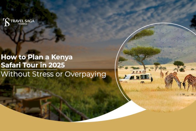 How to Plan a Kenya Safari Tour in 2025 Without Stress or Overpaying