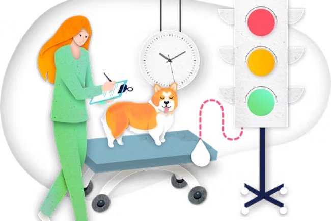 The Digital Tools Transforming How Veterinarians Work Today