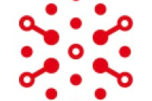 Custom Software Development Company Dubai Build the Future with xautonomous