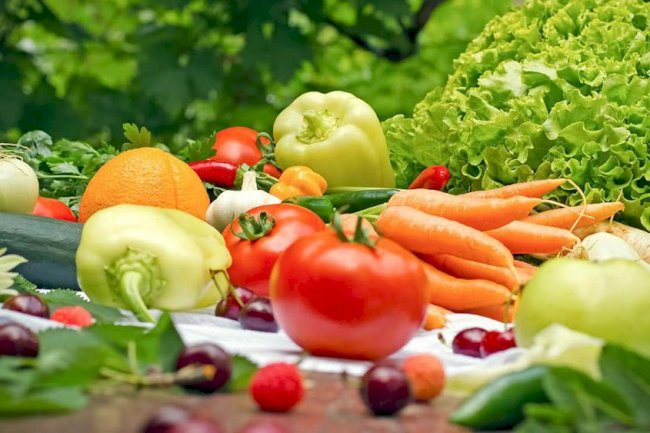 The Rise of Organic Foods: A Healthier and Safer Choice for Modern Living
