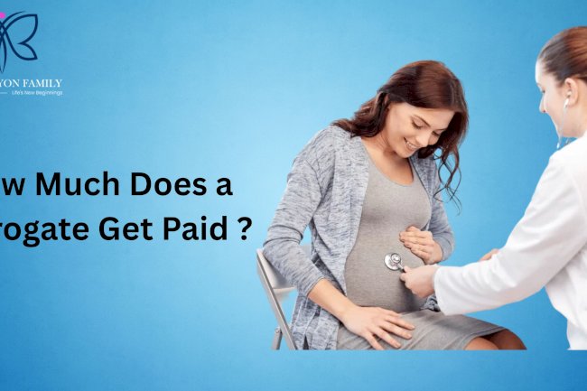 How Much Does a Surrogate Get Paid?
