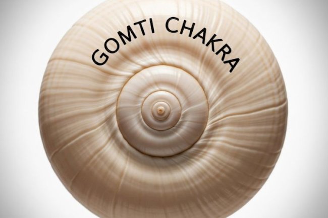 Gomti Chakra for Protection, Prosperity, and Peace