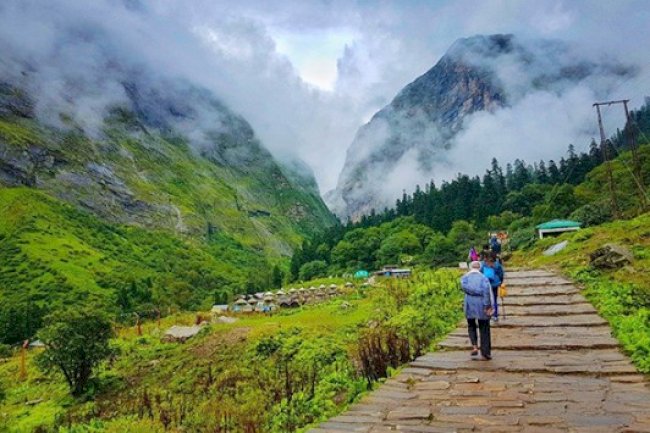 Is the Valley of Flowers Trek Worth It with Himalaya Tribe?