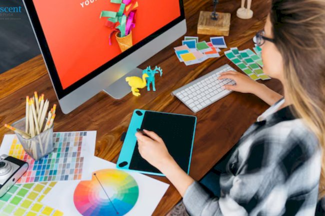 Boost Your Online Presence in the USA with Affordable SEO Packages from India