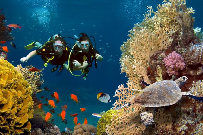 Scuba Diving in Dubai: Dive into the Depths of the Desert Jewel