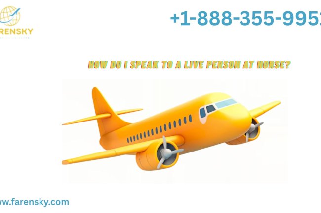 How Do I Speak To Someone At Norse? It's Easier Now