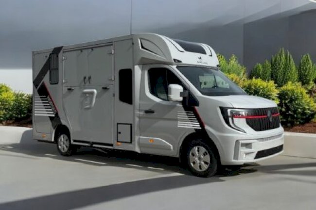 Understanding Horse Behaviour During Transportation