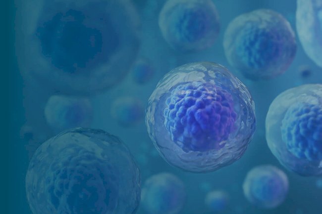 What Are the Benefits of Stem Cell Therapy?