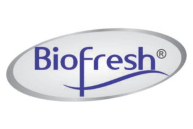 "Why Bio Fresh Incense is the Leading Incense Stick Manufacturer for Quality & Purity"