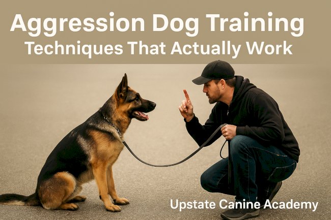 Aggression Dog Training Techniques That Actually Work