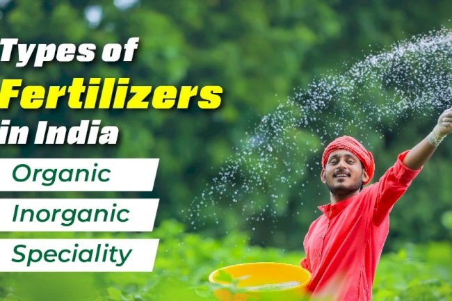 Discover the types of Fertilisers in India