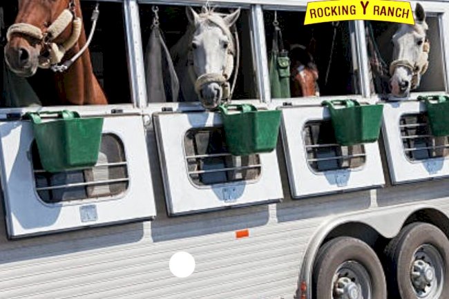 Reliable and Professional Horse Delivery in California