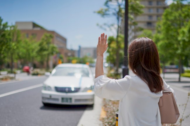 The Scenic Route to Serenity: Chandigarh to Palampur Taxi Journey Essentials