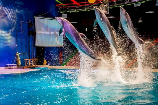 Echoes of the Ancestors: Dubai’s Oral Traditions