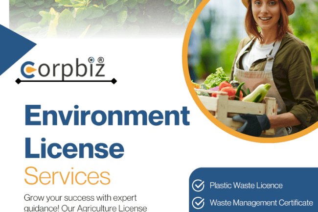 Top Company Incorporation Made Easy: A Step-by-Step Guide for 2025