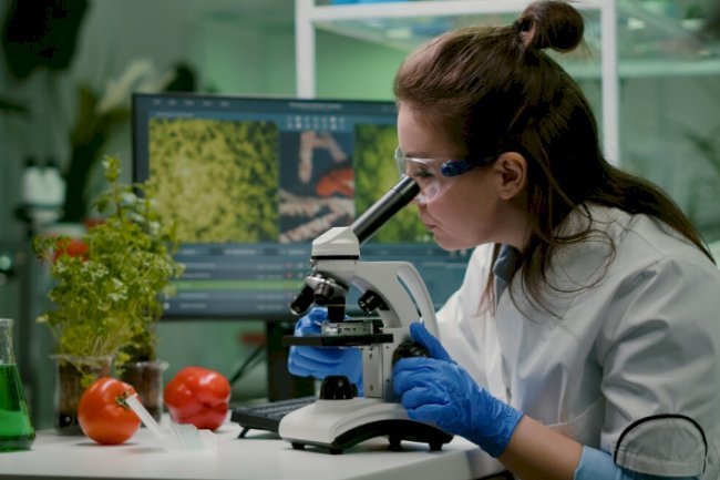 What Makes a Protein Analysis Lab Stand Out in Quality and Precision?