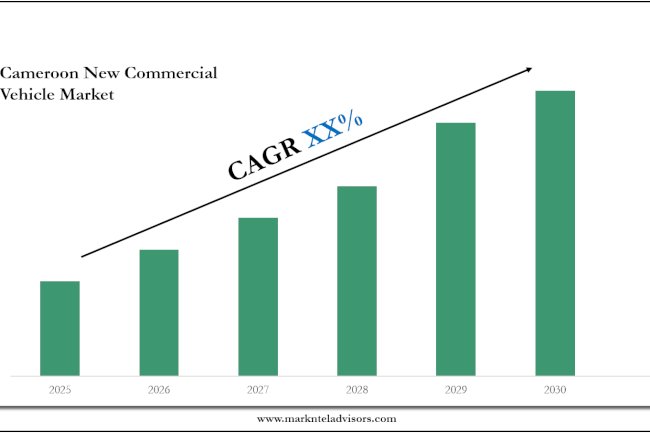 Cameroon New Commercial Vehicle Market Analysis, Outlook & Growth Rate 2030