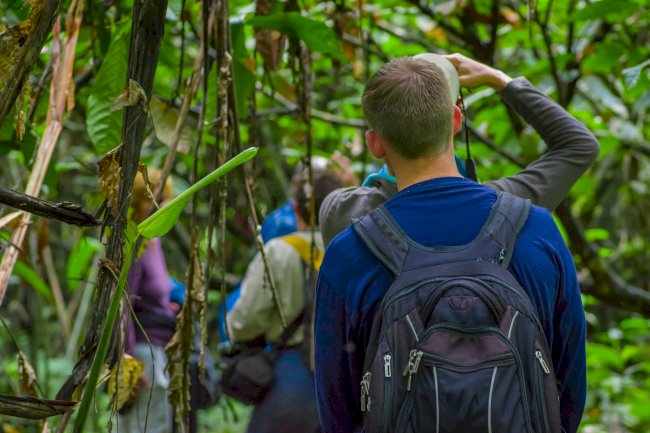 Ultimate Uganda Gorilla Trekking Guide