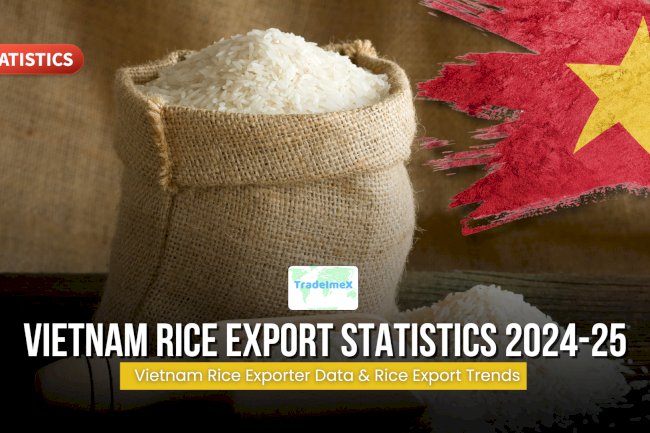 US Rice Export: Trends, Buyers, and Market Outlook 2024–25