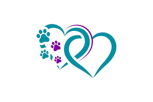 The Impact of Pet Euthanasia on Other Pets in the Household