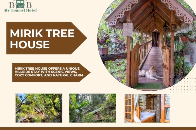 Mirik Tree House Stay – Experience Comfort at My Tourist Hotel