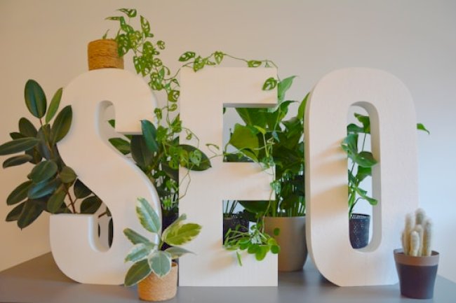 Top Benefits of Hiring Expert SEO Services in Pakistan for Small Businesses