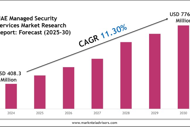 Top Companies in the UAE Managed Security Services Market 2030