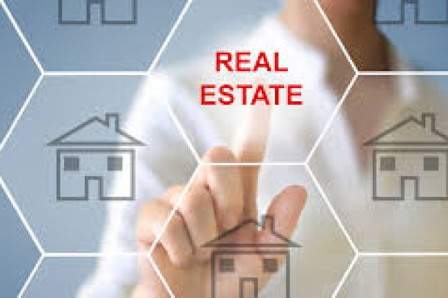 Why Are Real Estate Platforms in India Gaining So Much Popularity?