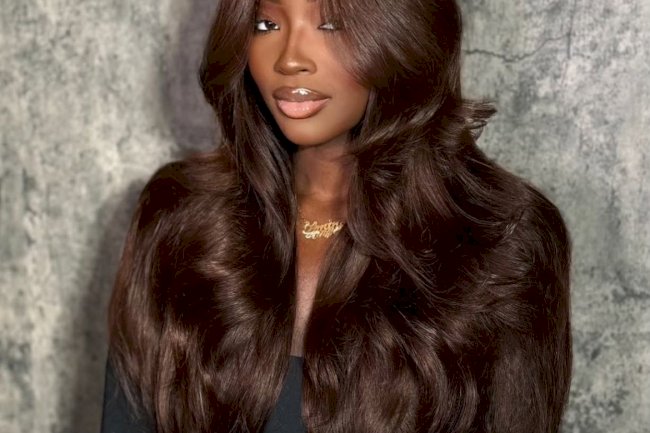 Brown Wigs That Blend Naturally for a Soft Everyday Look