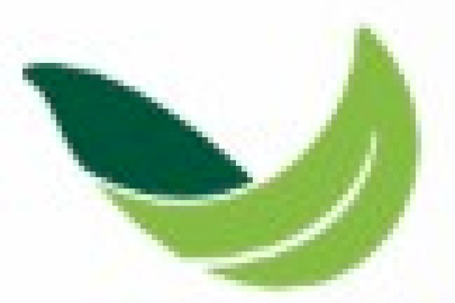 How PlantArk Helps Preserve Australia’s Native Plant Species