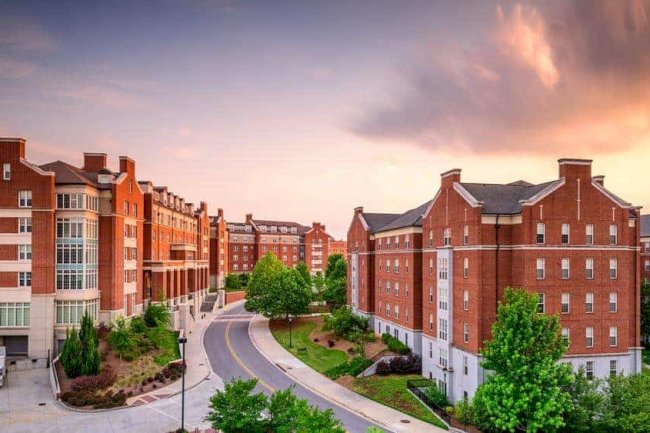 MBBS in Egypt Explained: Universities, Fees, and Student Life