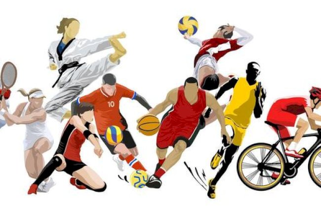Top Sports News and Updates You Should Know Today