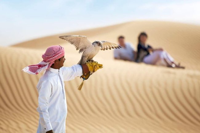 Why Tourists Prefer Premium Red Dunes Safari Over Other Desert Tours