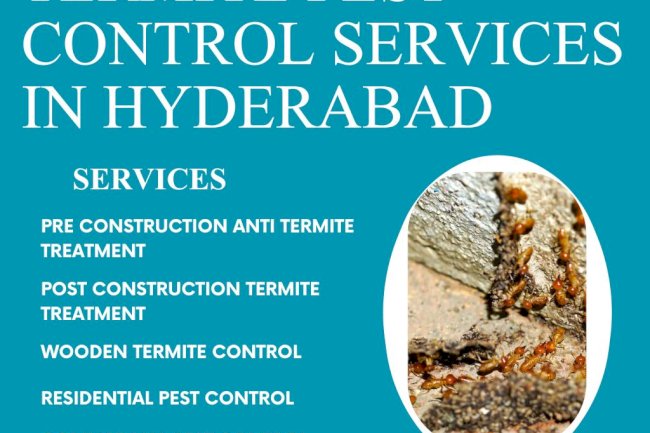 Termite Pest Control Services in Hyderabad