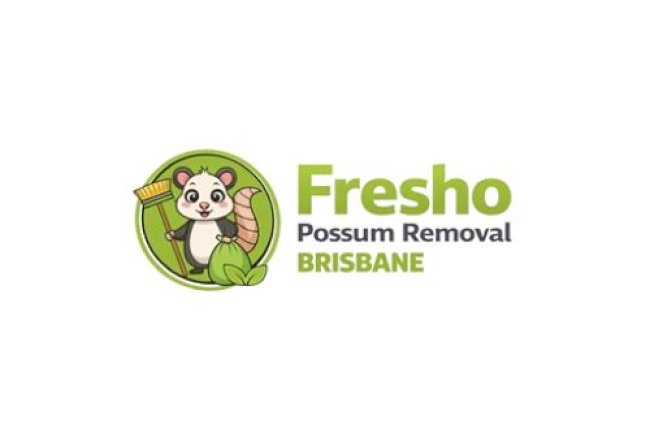 Keep Possums Out for Good: Smart Home Protection Tips for Brisbane Residents