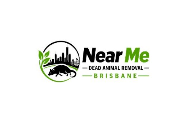 Why Professional Dead Animal Removal Is Safer Than DIY Methods in Brisbane