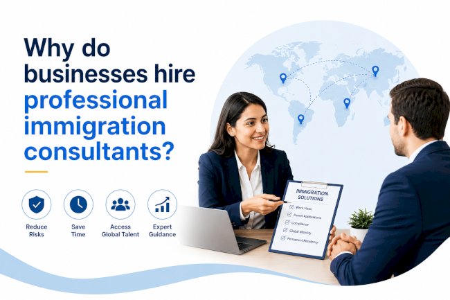 Why do businesses hire professional immigration consultants?