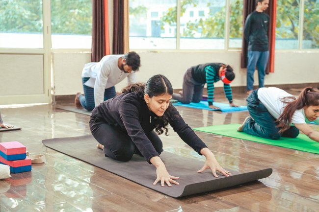 Sound Healing vs Meditation: Understanding the Difference