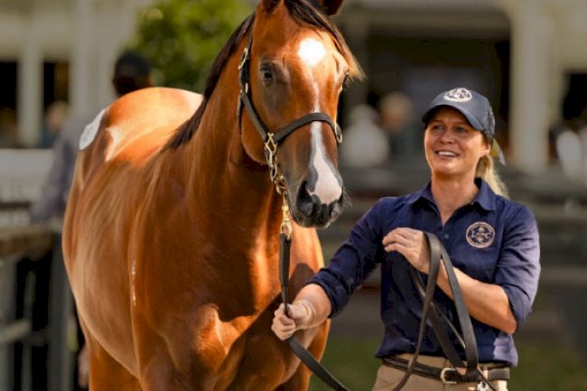 RWITC Mumbai: The Home of Indian Horse Racing's Greatest Traditions