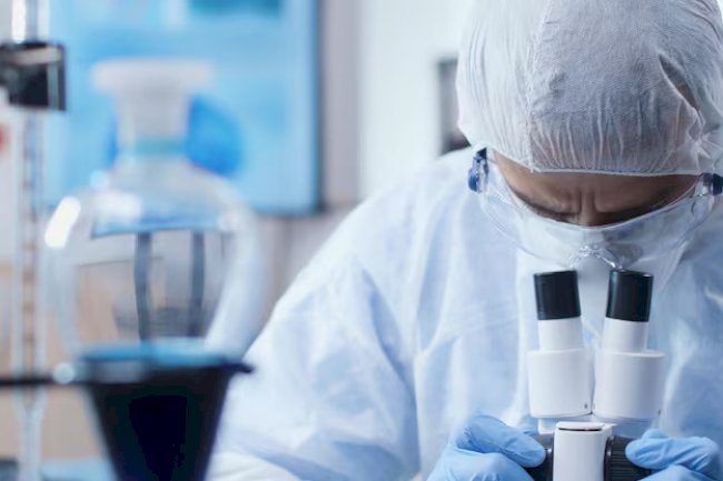 What are the top 3 AI investments for clinical development leaders?