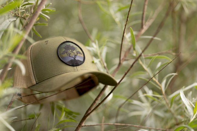 Bird Patch Hats Inspired by Nature | Tommy Breeze