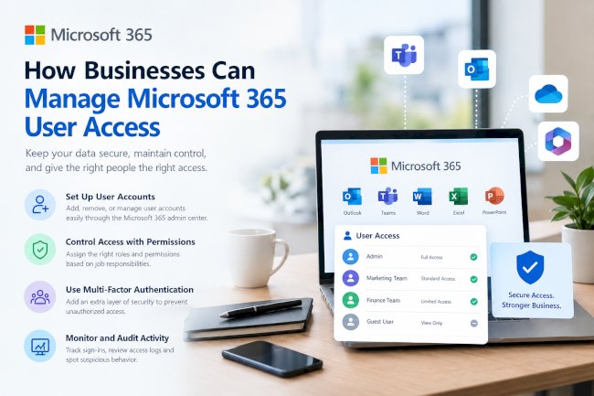 How Businesses Can Manage Microsoft 365 User Access