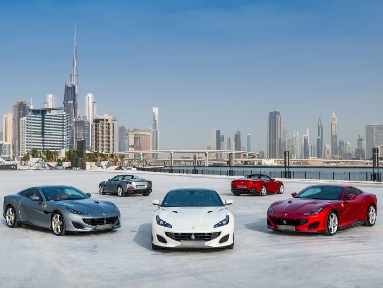 Discover Dubai's Waterfront | Rent a Car and Explore the Marina