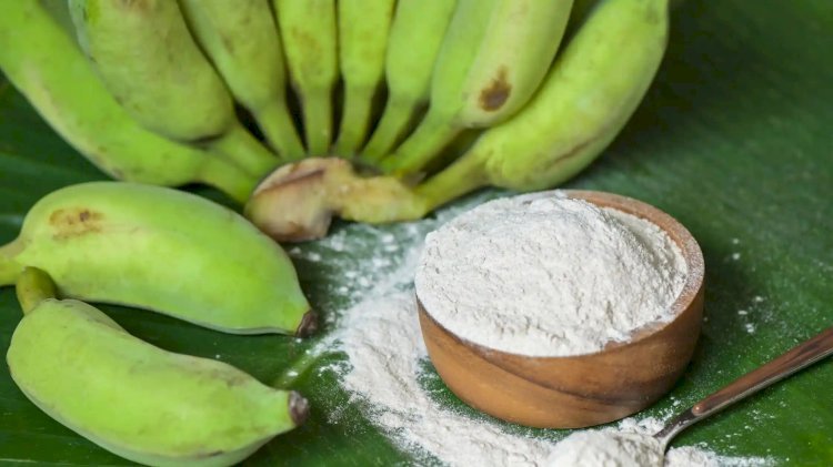 Report on Banana Powder Manufacturing Plant Setup with Cost Analysis and Requirements